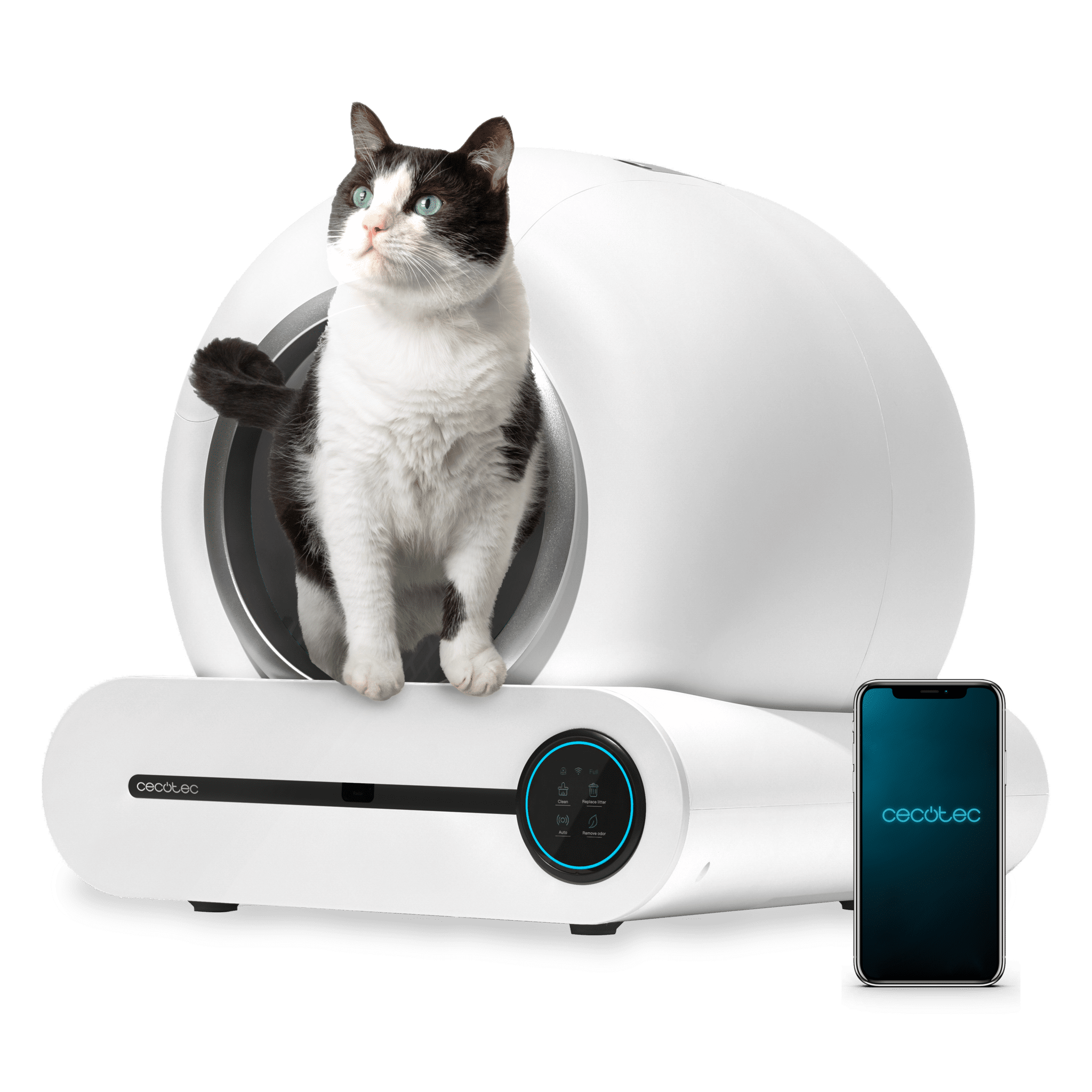 Pumba 8000 CleanKitty Smart(Default Title)